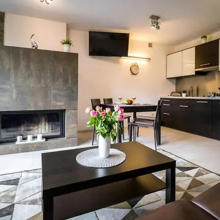 Apartament Alpejski Z Widokiem Na Tatry Kościelisko